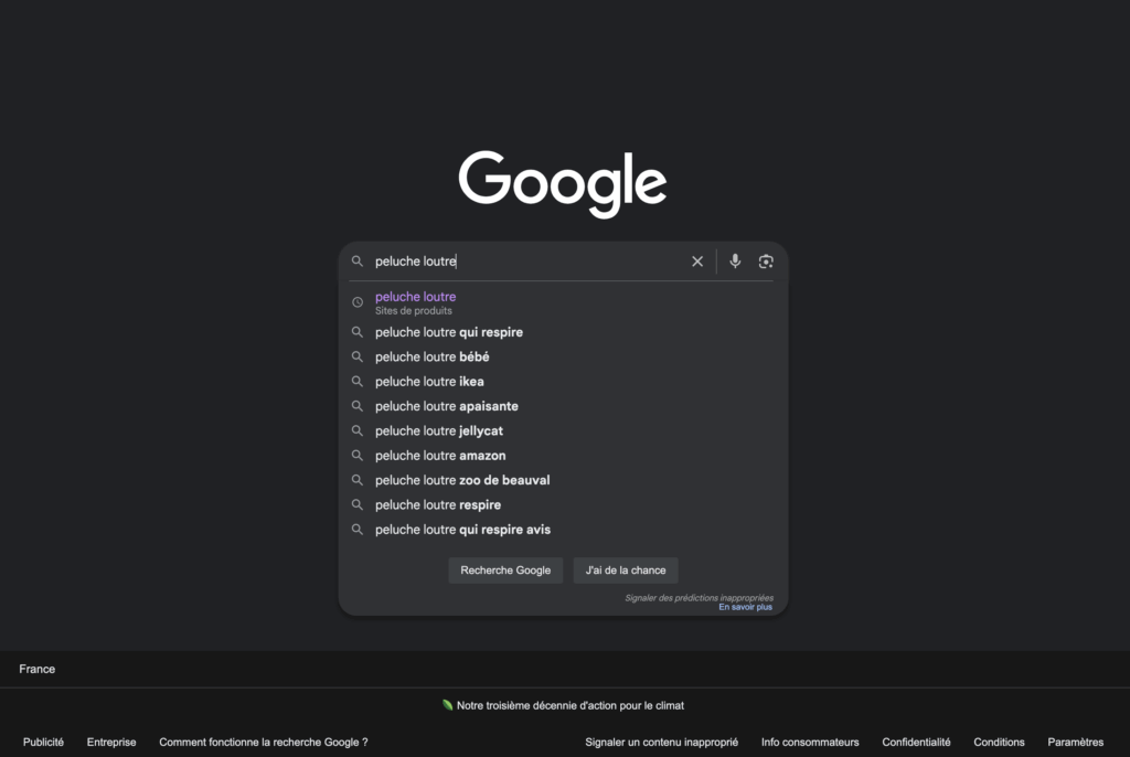 autocompletion-google