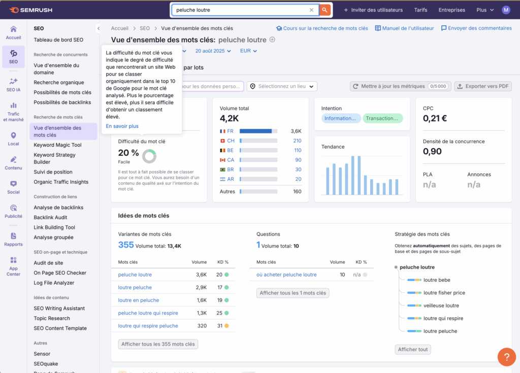 semrush-dashboard