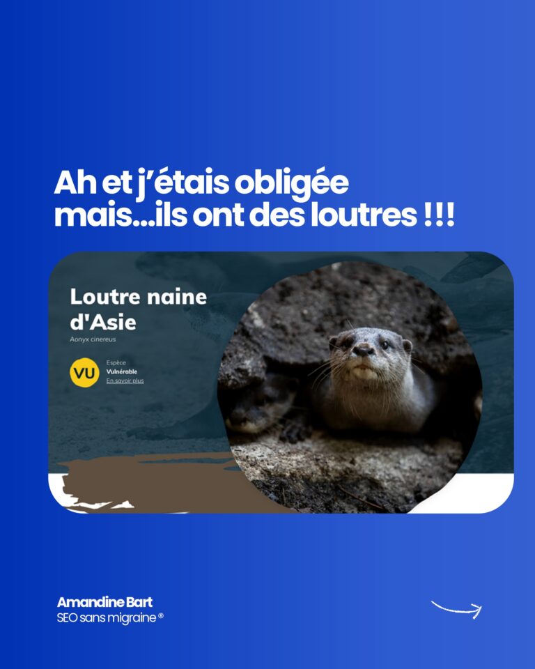 1759132922727_page-0023