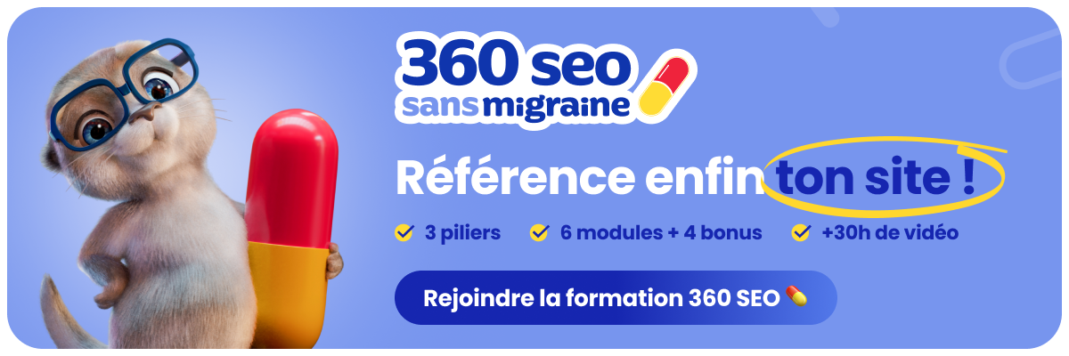 Bannière 360 SEO