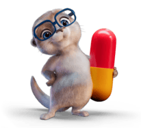 Loutre de seo sans migraine