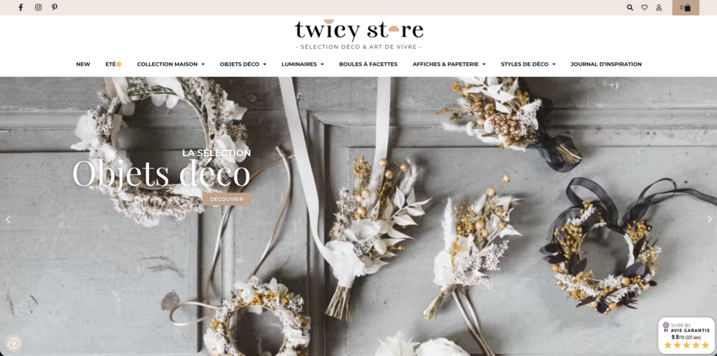 Twicy Store